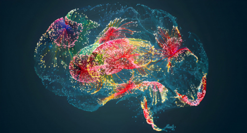 L'Arte Giapponese del Cambiamento: Perch� il tuo Cervello Resiste e come Ingannarlo per Vincere